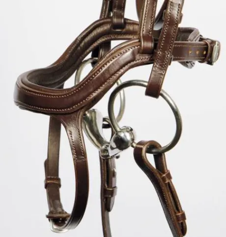 Bridon anatomic Harry horse