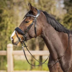 Bridon anatomique Skye - QHP - Cuir avec paillettes