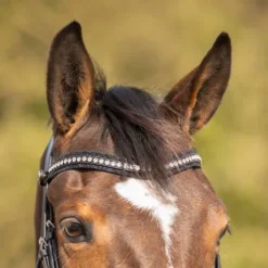 Bridon anatomique Skye - QHP - Cuir avec paillettes