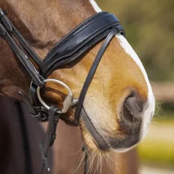 Bridon anatomique Skye - QHP - Cuir avec paillettes