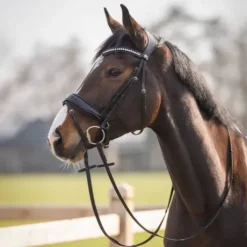 Bridon anatomique Skye - QHP - Cuir avec paillettes