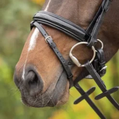 Bridon anatomique sunset vernis - QHP - Cuir verni