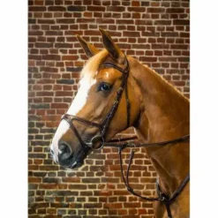 Bridon anatomique X-FIT Dy'on Collection - Dy'on