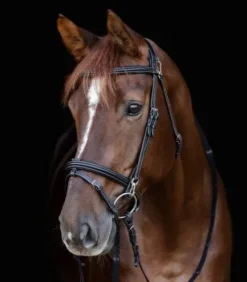 Bridon anatomique X-Line Work - Waldhausen - Mousquetons pratiques