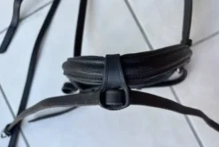 Bridon Antares taille 1