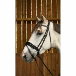 Bridon avec muserolle combinée large et vernie  Working Collection - Dy'on