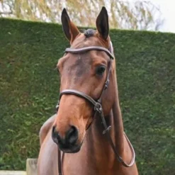 Bridon Bitless - Collection One - Jump'in