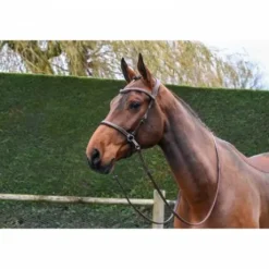 Bridon Bitless - Collection One - Jump'in