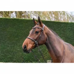 Bridon Bitless - Collection One - Jump'in