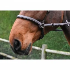 Bridon Bitless - Collection One - Jump'in