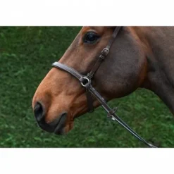 Bridon Bitless - Collection One - Jump'in