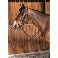 Bridon classic Dy'on working collection muserolle combinée