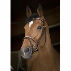 Bridon Clincher Rose Gold - Norton