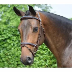 Bridon Crystal de la Collection Week - Jump'In