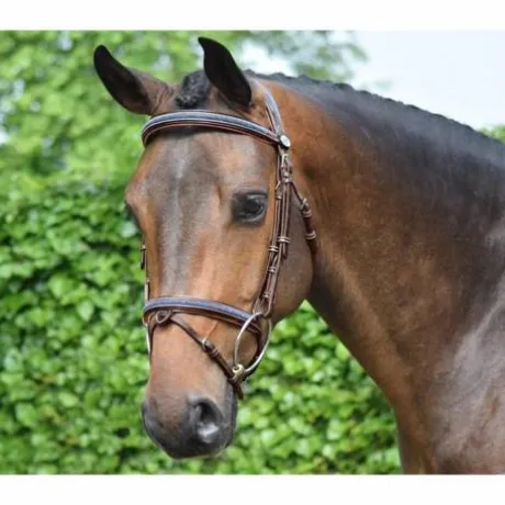 Bridon Crystal de la Collection Week - Jump'In