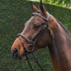 Bridon Crystal muserolle combinée - Collection week - Jump in