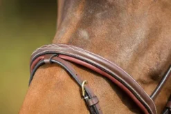 Bridon cuir HFI Comfort