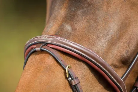 Bridon cuir HFI Comfort