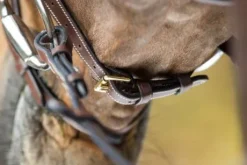 Bridon cuir HFI Comfort