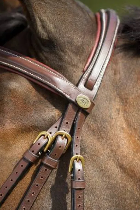 Bridon cuir HFI Comfort