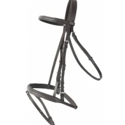 Bridon cuir TdeT Sisley