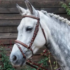 Bridon cuir TdeT Sisley