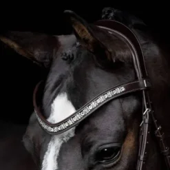 Bridon Danciero - SD Design