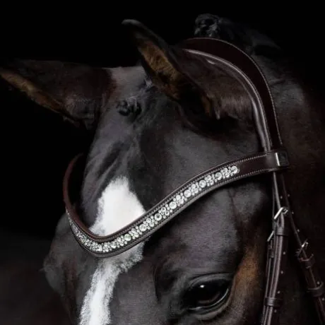 Bridon Danciero - SD Design