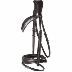 Bridon Danciero - SD Design