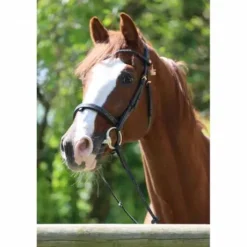 Bridon Disco - JU & PA - Galon noir