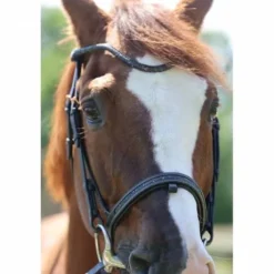 Bridon Disco - JU & PA - Galon noir