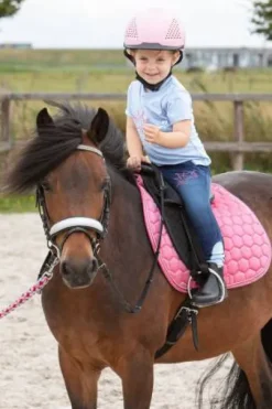 Bridon diva stella Harry's horse