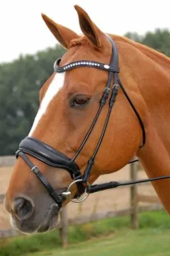 Bridon dressage Dy'on muserolle combinée large