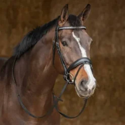 Bridon Drops - Harry's Horse