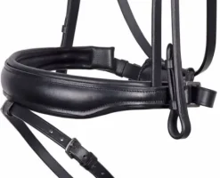 Bridon Drops - Harry's Horse