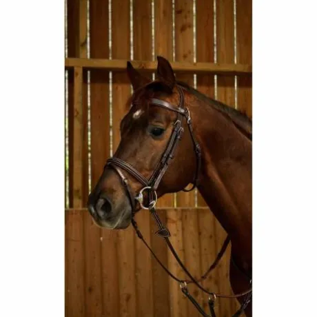 Bridon Dy'on working collection muserolle combinée fancy