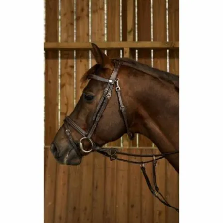 Bridon Dy'on working collection muserolle combinée fancy