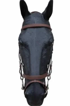 Bridon en cuir Italien modèle Bari JMRPRO