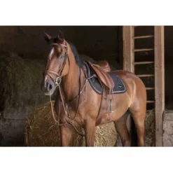 Bridon Eric Thomas Hybrid Shiny