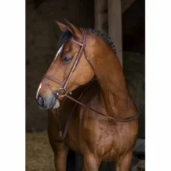 Bridon Eric Thomas Hybrid Confort
