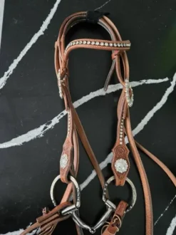 Bridon et collier de chasse western