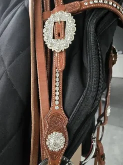 Bridon et collier de chasse western