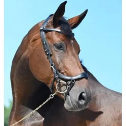 Bridon Faysport Presteq - Presteq