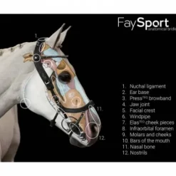 Bridon Faysport Presteq - Presteq
