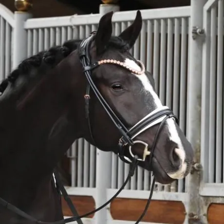 Bridon FLEUR cuir rond noir doublé blanc - SD Design