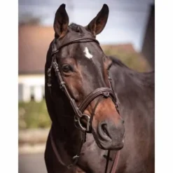 Bridon Friday muserolle combinée - Collection week - Jump in