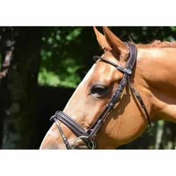 Bridon Friday muserolle combinée - Collection week - Jump in