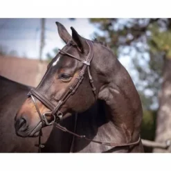 Bridon Friday muserolle combinée - Collection week - Jump in