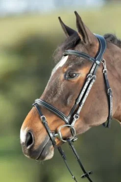 Bridon Functional HFI