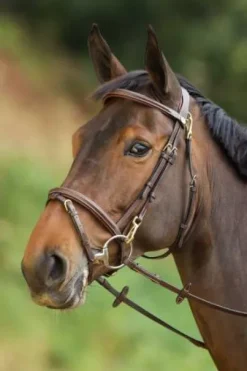 Bridon Functional HFI